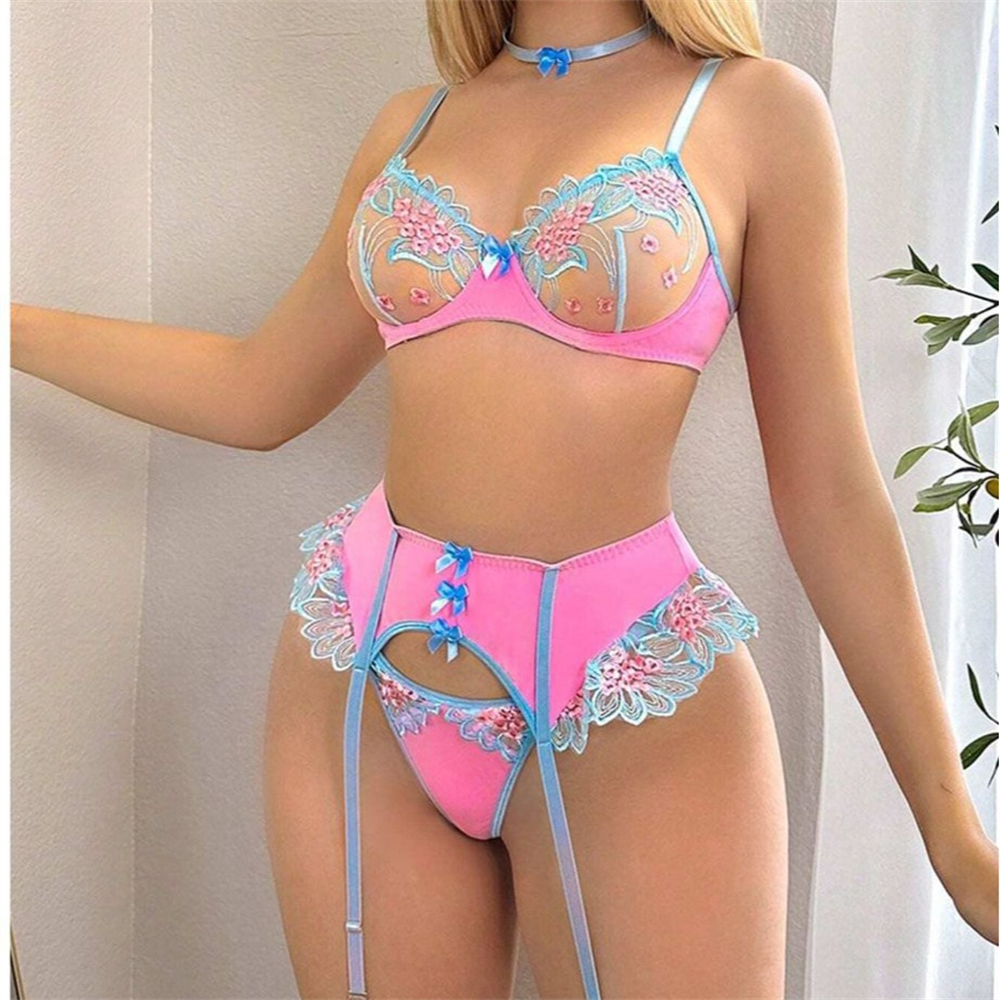 Sexy Fancy Lingerie Transparen – Garter Belt Set Bewertung und Preis