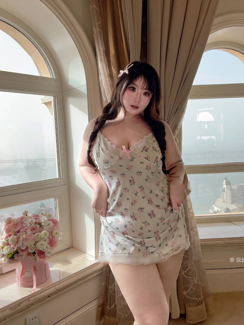 Women's Sexy Plus Size Lingeri – Babydoll Chemise Night Bewertung und Preis
