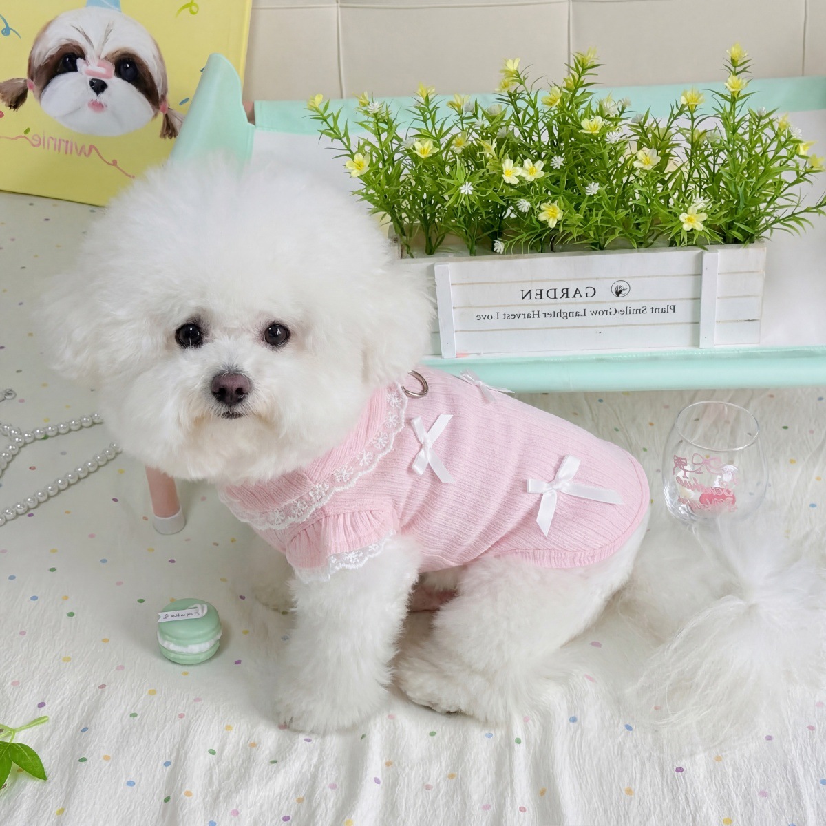 Pet Spring Lace Bow Vest Can P – Lace Teddy Lingerie Bewertung und Preis