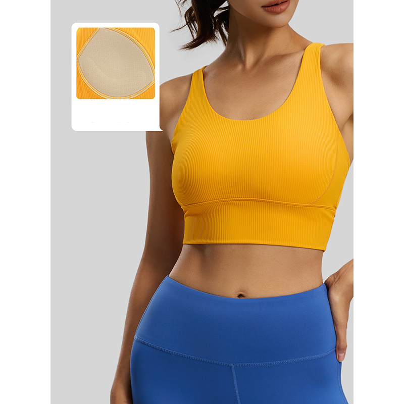 2026 New Women Ribbed High Imp – Sports Bra High Impact Bewertung und Preis