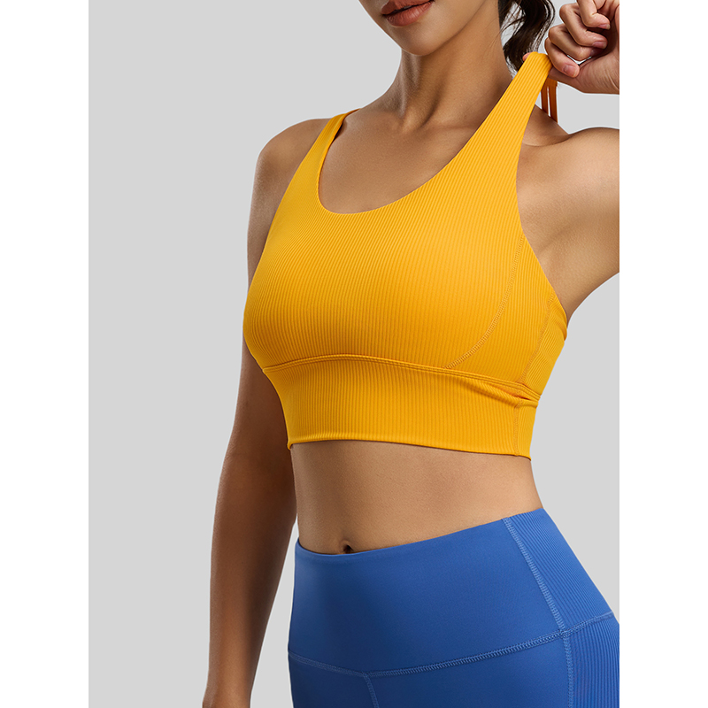2026 New Women Ribbed High Imp – Sports Bra High Impact Bewertung und Preis